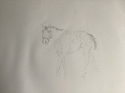 BEF6672A-9539-4233-B972-2AD20D4CAEF3