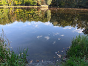 PXL_20211004_153044154