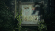Alan-Wake2-2026-06-06-15-41-33-589