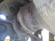 IMG-5597