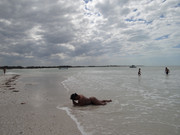 DSC01378