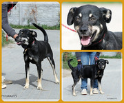 Be-Funky-collage-31.jpg&key=4270a3904e6b