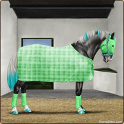 9. Summer Stable set