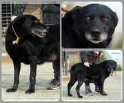 Be-Funky-collage-17.jpg&key=c8950cc74ff1