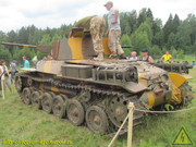 IMG-6533