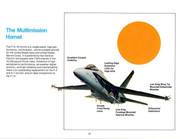 McDonnell FA-18 Hornet22