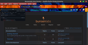 ff-preview-tab.png