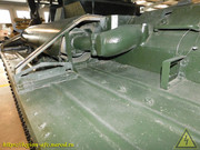 DSCN6571