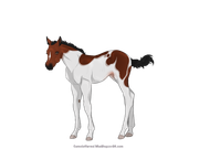 5B0F2F3C-ACA0-4116-B6BC-B90ADCCC593A