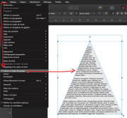 [Image: Capture-d-cran-2021-12-22-085738.jpg]