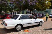 IMG-3112