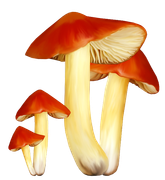 TADD_elements_Autumn_Fairy_Tales_42