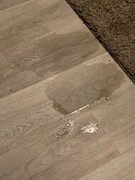 99C43A04-DB28-4444-BE67-772C14ECD720