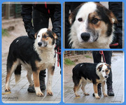 Be-Funky-collage-20.jpg&key=84ec298eb2f2