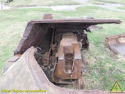 DSCN6874