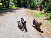 Let's fucking gooooo!!!!!