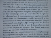 Routes-blanches-et-arbres-au-bord-des-routes-Lecot.jpg
