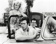 mimsy-farmer-a64