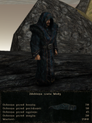 pancerze i ubrania (6)