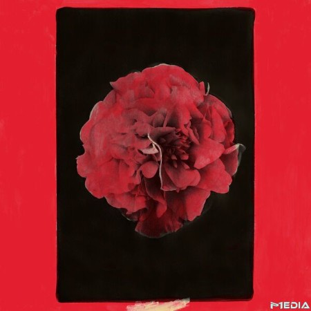 Activity - A Thousand Years In Another Way (2025)
