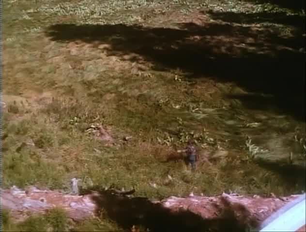 [Image: 018bf7anrnbn.jpg]