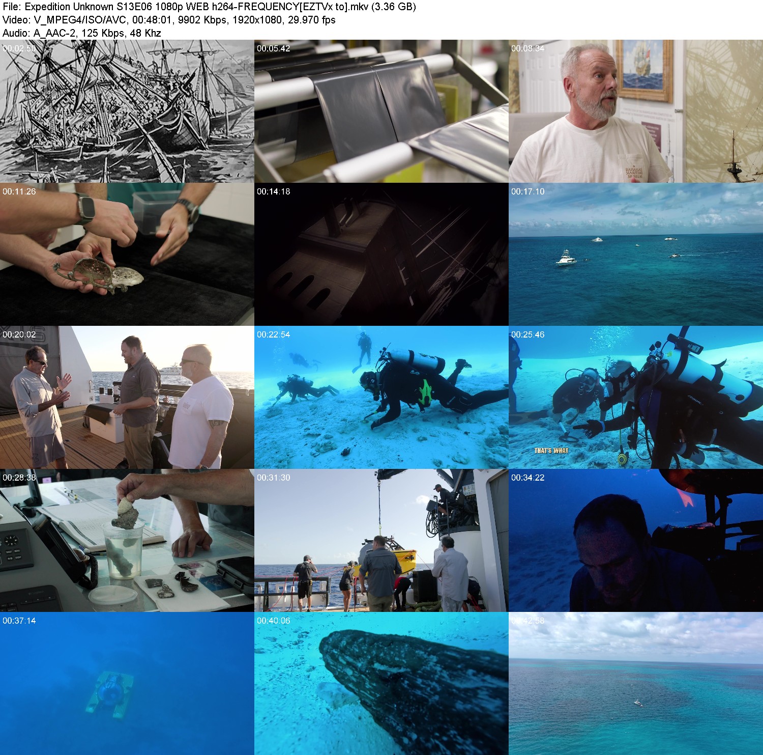 [Image: hde4ftt5fi14.jpg]