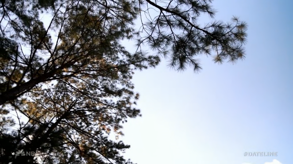 [Image: 1dr9lh21ayls.png]