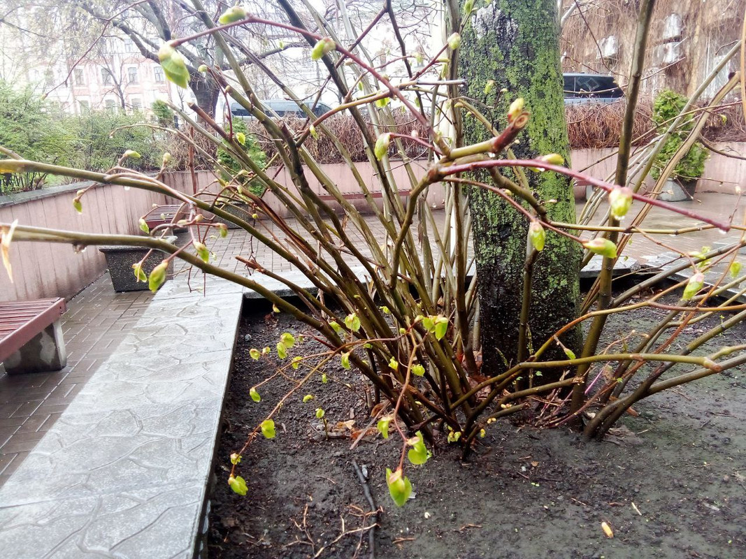 photo_2025-04-01 8.18.05 пп