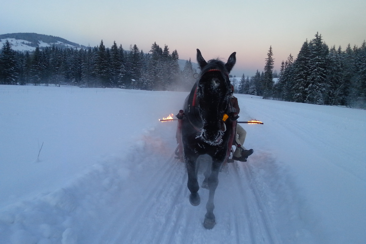 16.23 - 20170107_155718 (VdL)