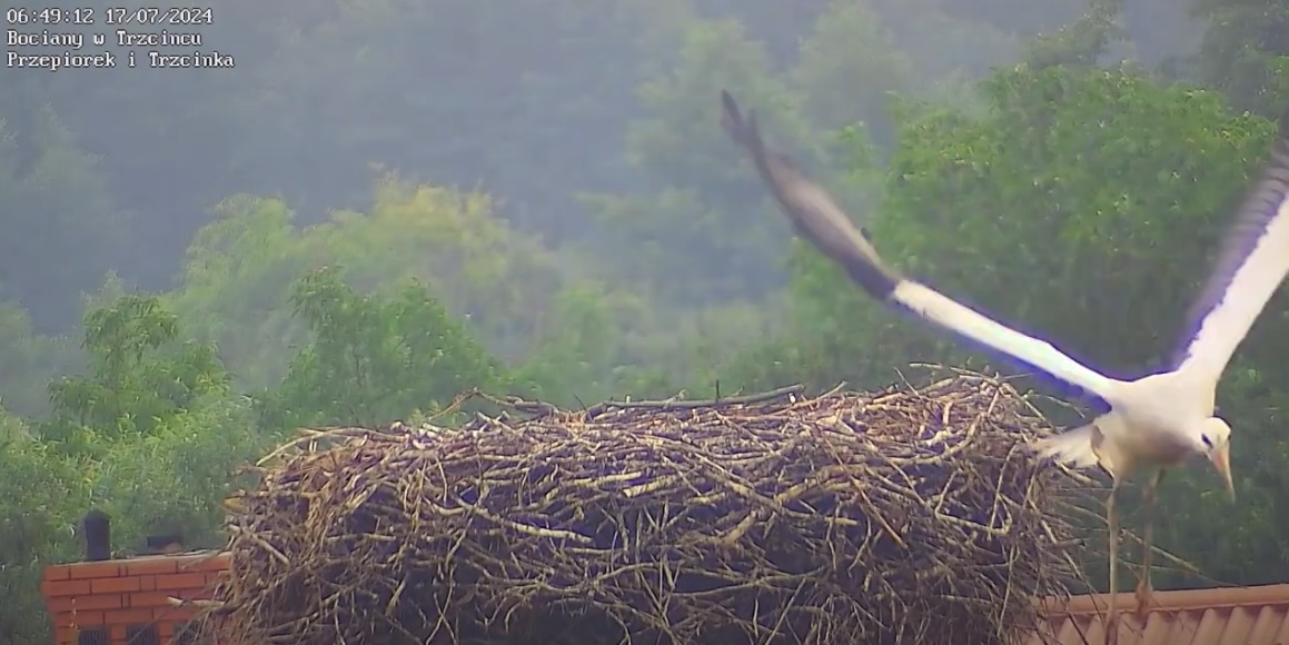 chmurkaleciwswojpierwszylot