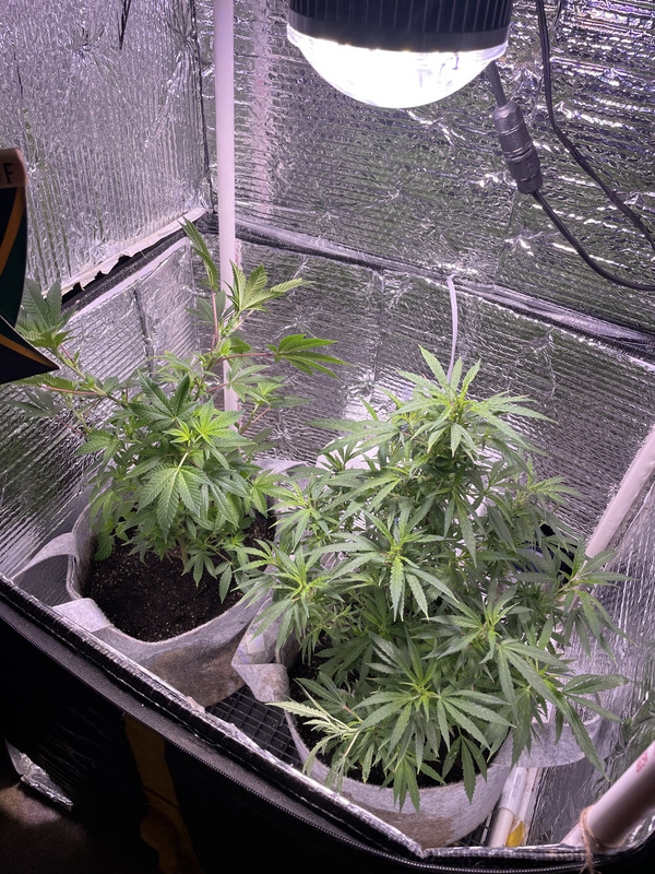 BFF67C5C-9604-4290-B4A8-AA40DBC6B858