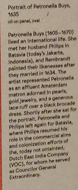 Escapada por Amsterdam - La Haya - Delft - Rotterdam - Leiden - Londres - Blogs de Europa - Museo Mauritshuis, decepcionante Depot Boijmans y callejeo por Delft y Leiden (156)