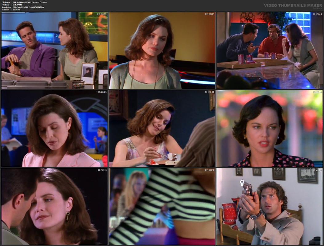 Silk Stalkings S05E09 Partners (2).mkv