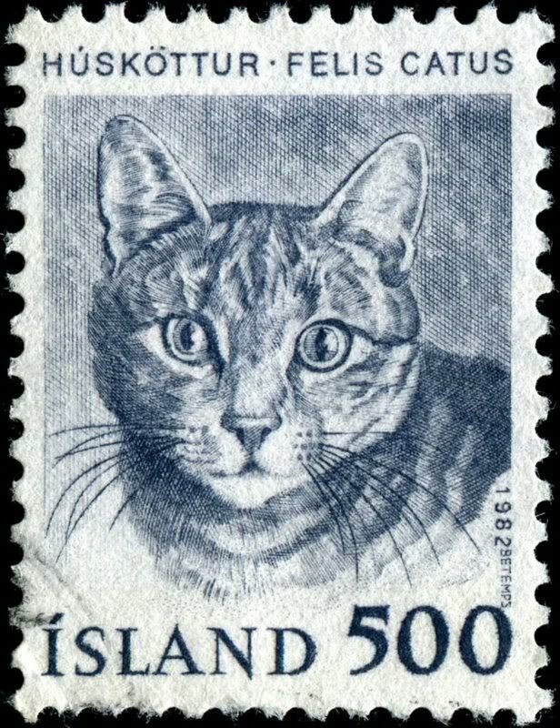 81