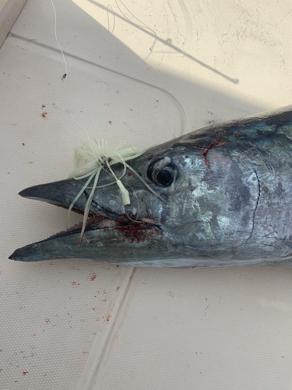 CF8C632D-2C46-4D07-B153-D13D87F5170C