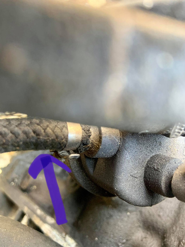 221417156_537190397702844_1950848558103325965_n