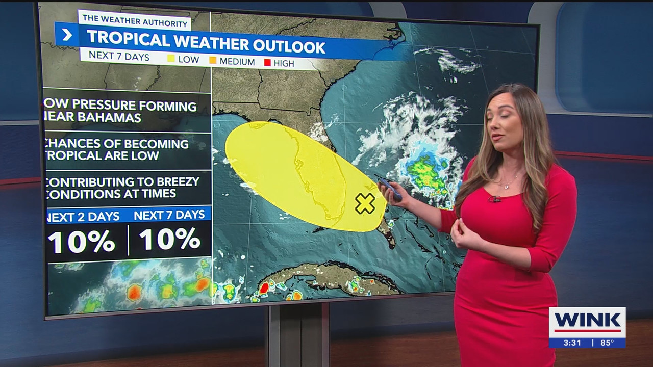 10.02 - 20.00.00 - WINK News at 3pm  ᴺᵉʷ. Stay informed with the late....ts_snapshot_00.31.39.033