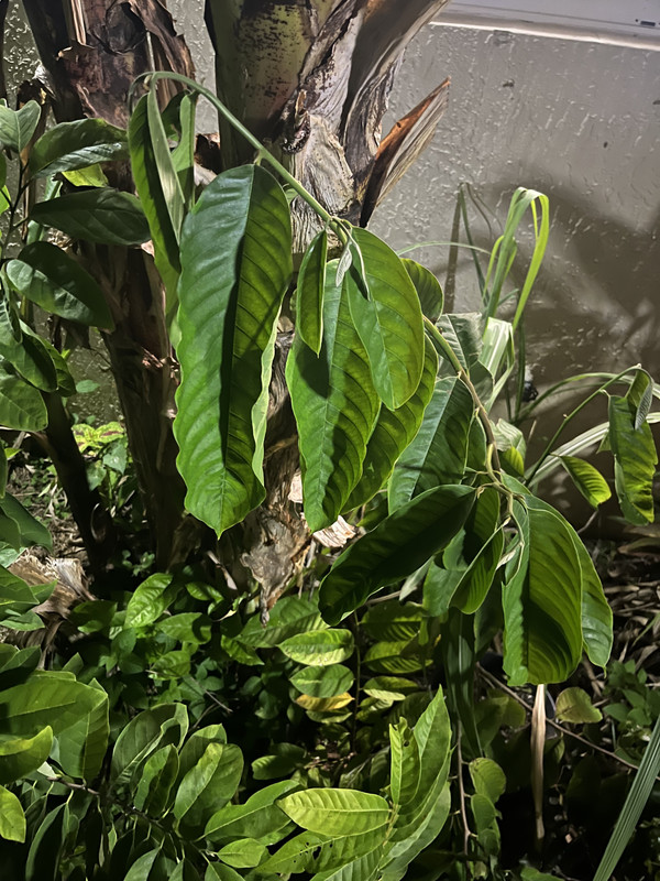 624A581A-13D8-4ECC-9EA7-72148F4EF44D