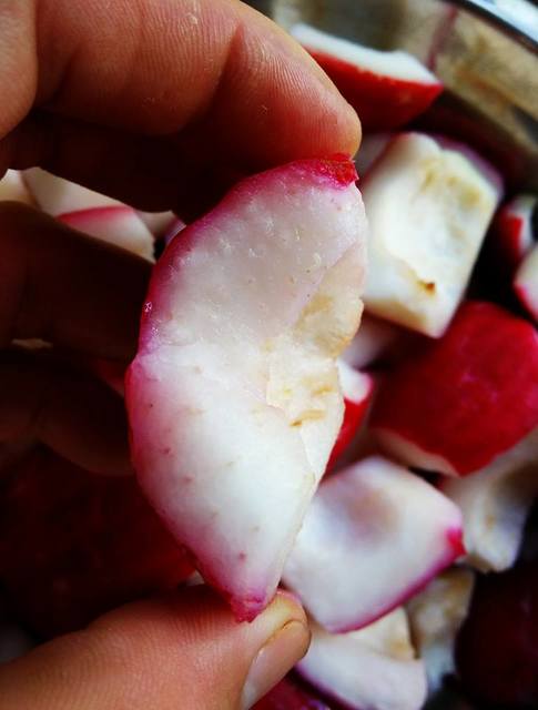 jambu bol5