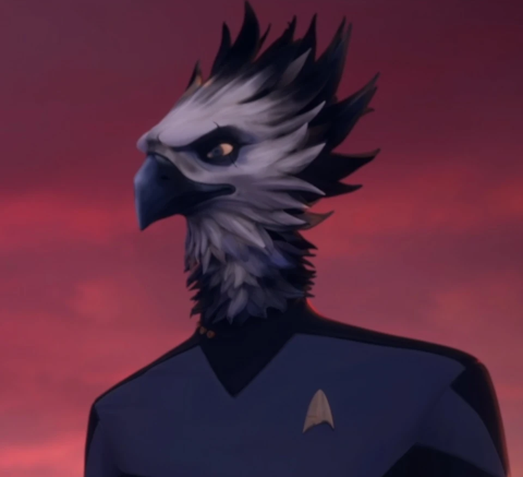 chakotays-first-officer.png