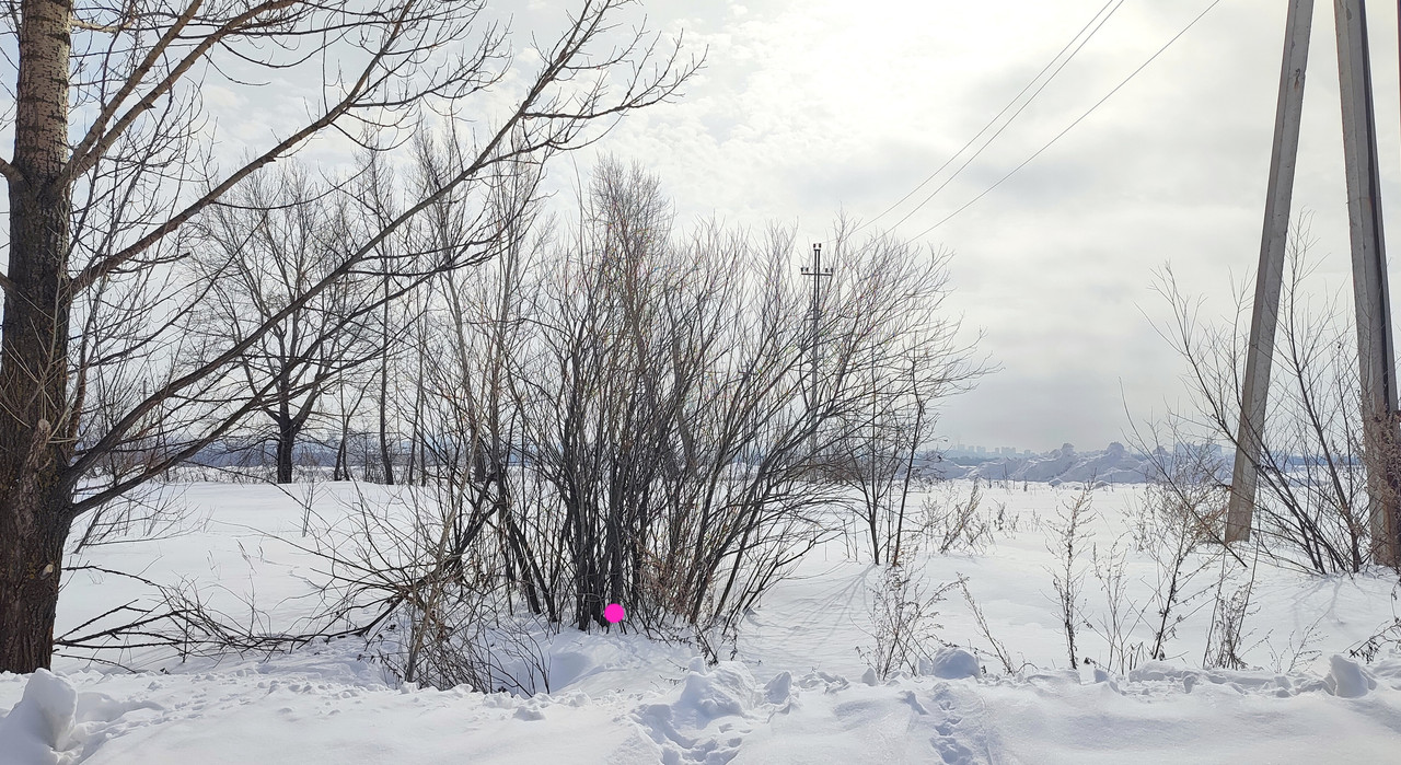 IMG 20260314 092246 cleaned