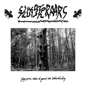 Re: Fluisteraars (NLD) / Post-Black Metal