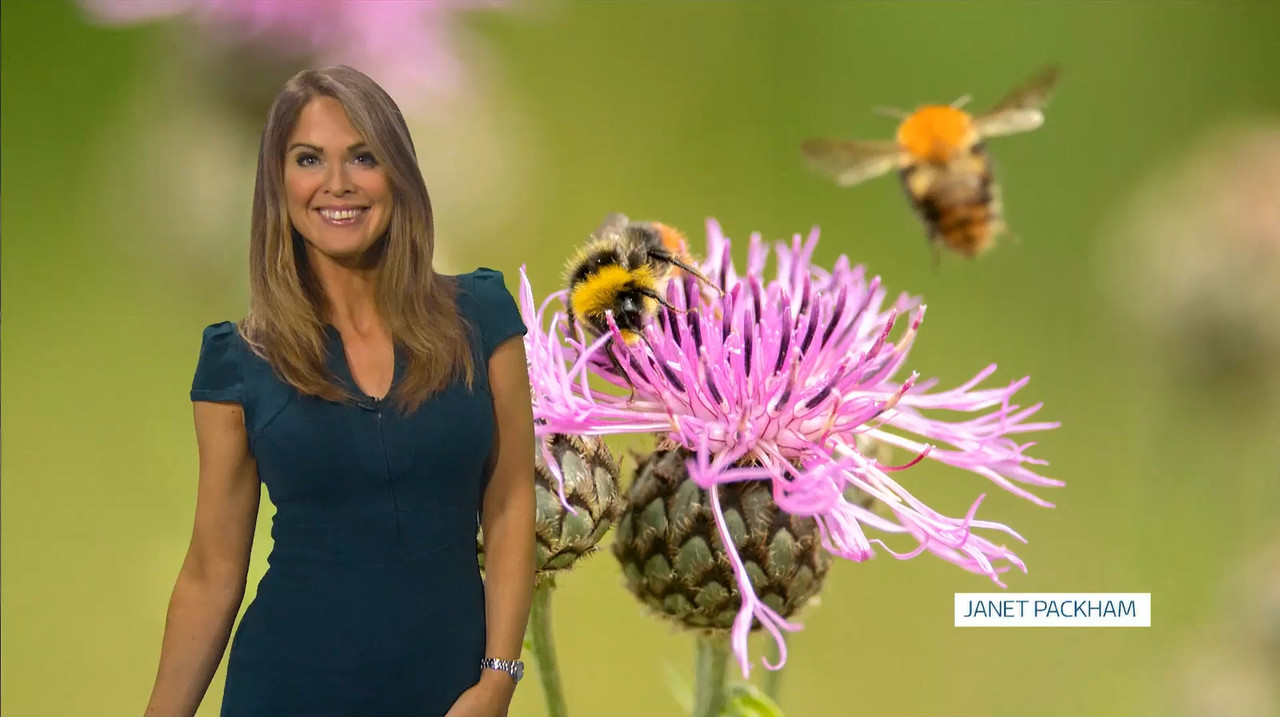 07.03 - 18.00.00 - Itv News West Country.-1.mp4_snapshot_29.01.818