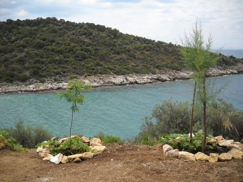 Slika