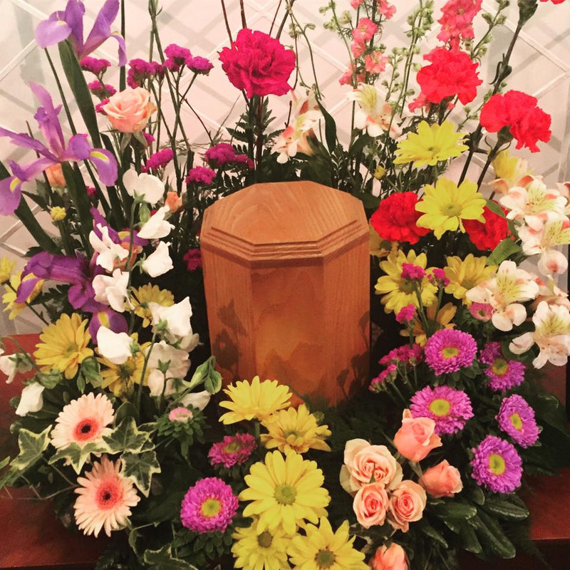 18119106_10210849087001980_6673829066827356776_n