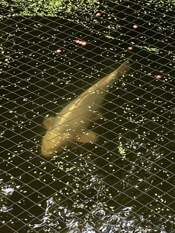 82338569-2BE2-4ECD-B10B-B9E9A82C8E94