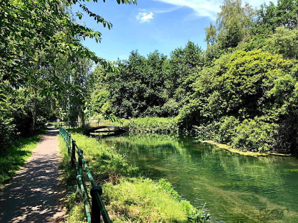 river-reeds-bridge-brox-HD.jpg
