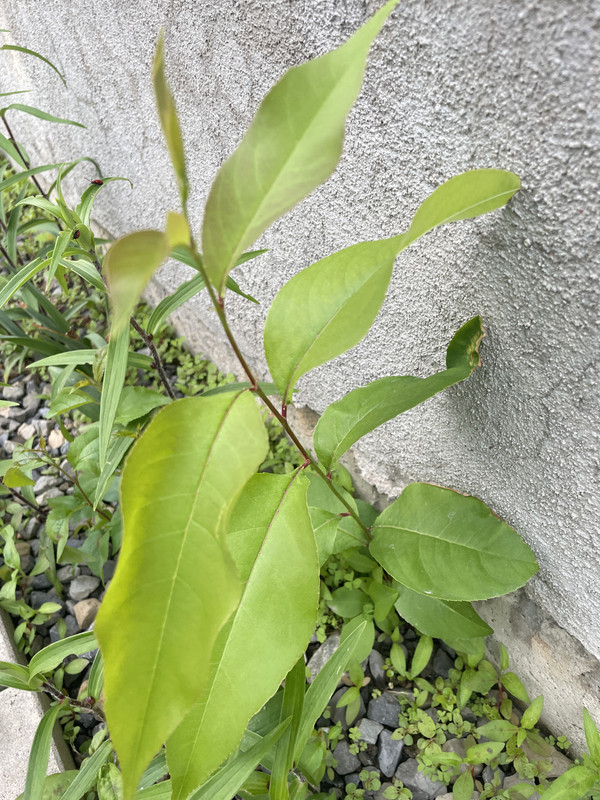 D0A91D7D-FF16-4874-9D14-67198F08D820