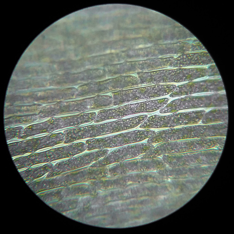 IMG 20250614 111355 HDR