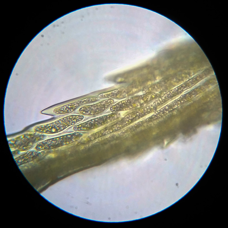 IMG 20250614 111729 HDR